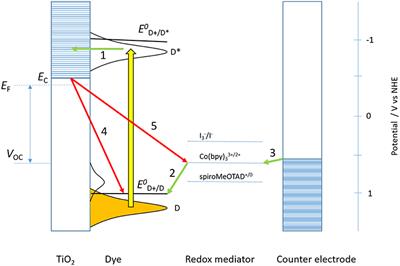Improving the Performance of Dye-Sensitized Solar Cells
